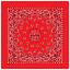 Cotton Trainmen Bandana