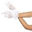 Wrist Length Lace Women's Costume Gloves