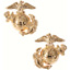 Marine Corps Globe & Anchor Insignia