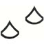 Private First Class Polished Insignia