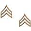 Sergeant Polished Insignia