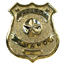 Security Guard Badge