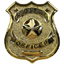 Security Officer Badge