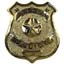 Special Police Badge