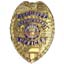 Deluxe Security Enforcement Officer Badge