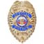 Deluxe Special Police Badge