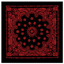 Trainmen Bandana