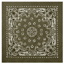 Trainmen Bandana