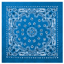 Trainmen Bandana