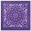 Trainmen Bandana