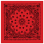 Trainmen Bandana