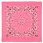 Trainmen Bandana