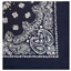 Trainmen Bandana