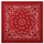 Trainmen Bandana