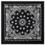 Trainmen Bandana