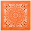 Trainmen Bandana