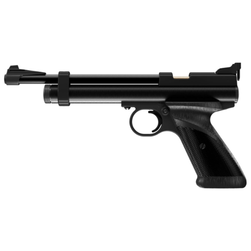 Crosman Bolt Action .22 CO2 Gun