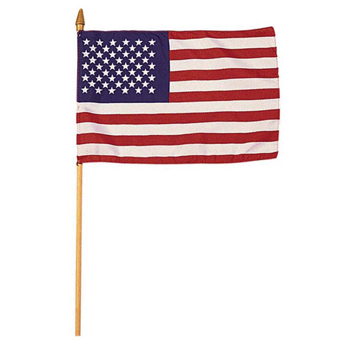Mini 8 Inch X 12 Inch American Flag