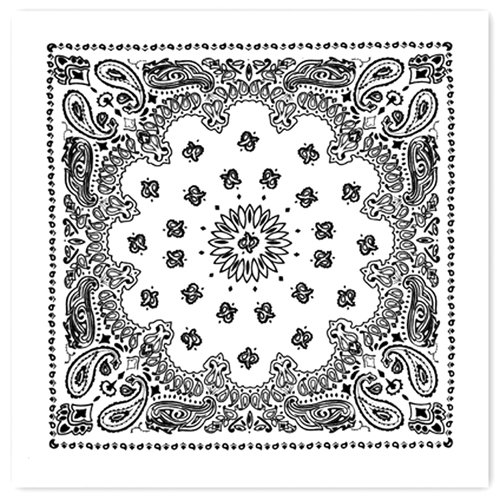 Trainmen Bandana