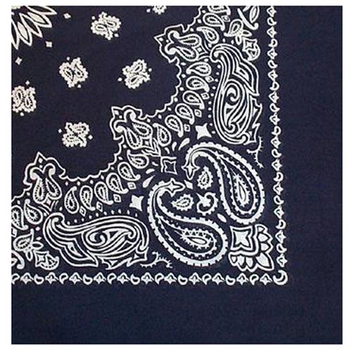 Trainmen Bandana